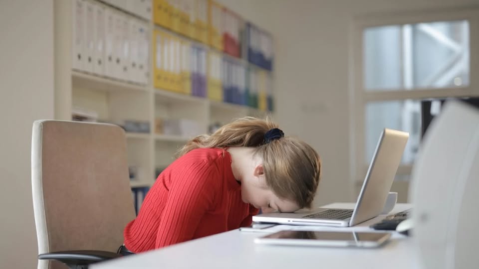 611966890 1452516256881070 517580384926263358 n