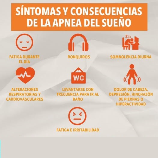 465472466 8768311689897903 6472630877532827325 n