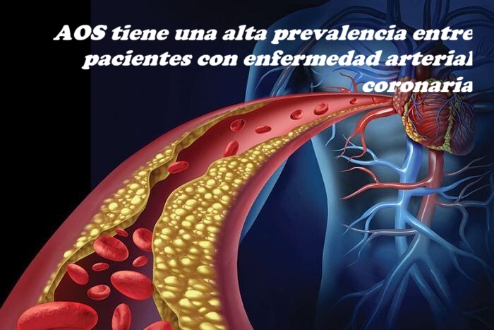 2ZJB7UIUWBDXTDMMUC37WNRQ7Q