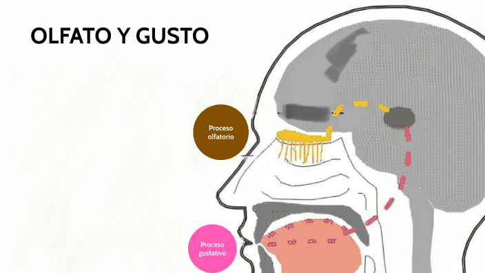 vfeukprqd55yfquhfalpwo6cep6jc3sachvcdoaizecfr3dnitcq 3 0