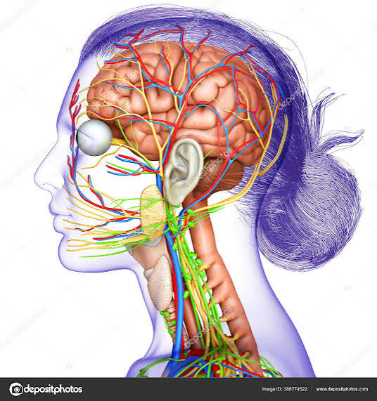 images 2026 07 31T071802.089