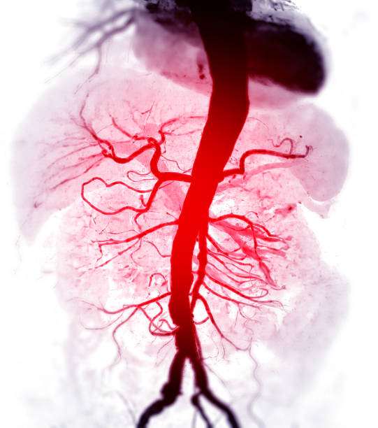 istockphoto 1500733591 612x612
